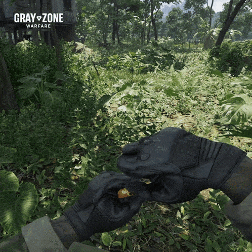 a video game called gray zone warfare is being played in the jungle