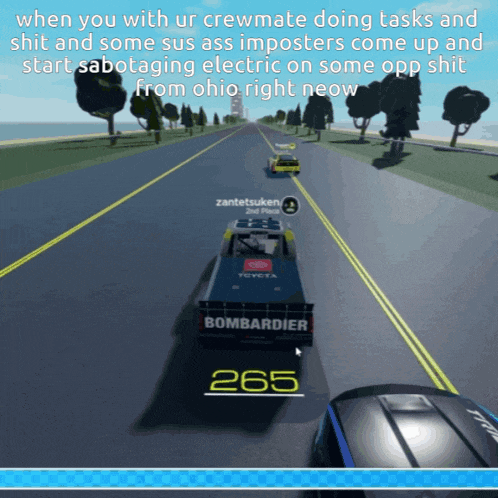 a screenshot of a video game with the number 265
