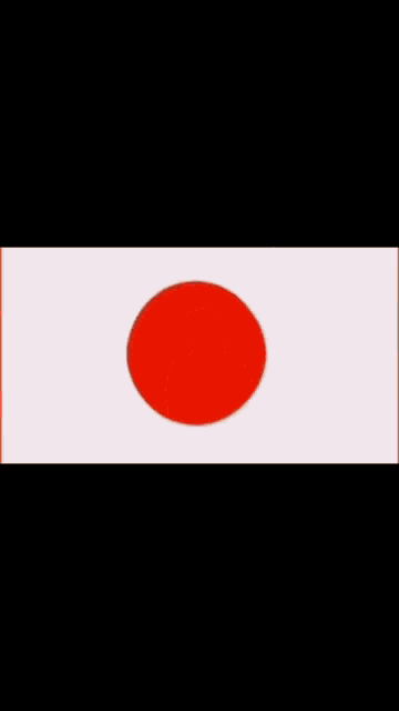 a red and white flag with a red sun in the center