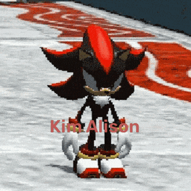 a shadow the hedgehog with the name kim allison in red