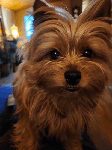 Cybelle 1year Old GIF - Cybelle 1year Old GIFs