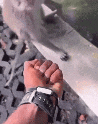 a close up of a person 's hand with a watch that says ' l ' on it