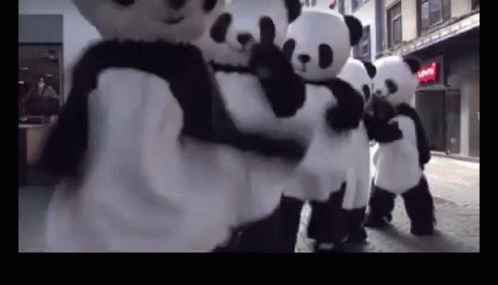 Panda Dance GIF - Panda Dance GIFs