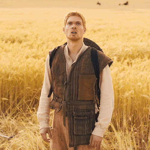 a man in a brown vest stands in a field