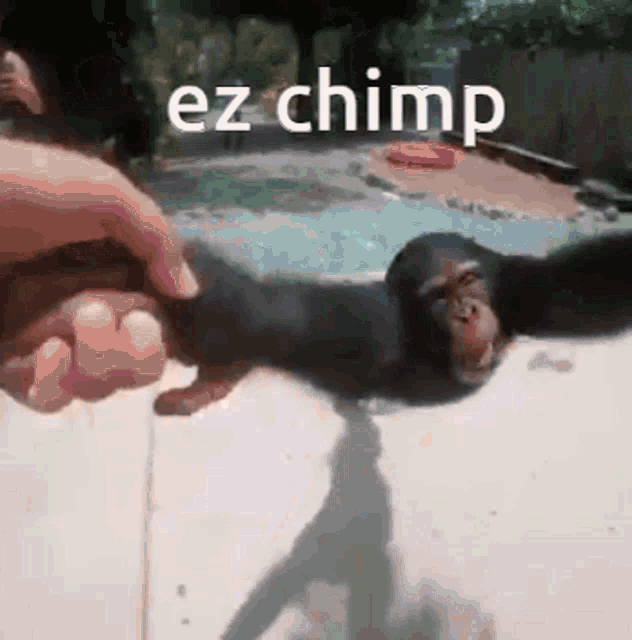 Chimp Ez Chimp GIF - Chimp Ez Chimp Ez GIFs