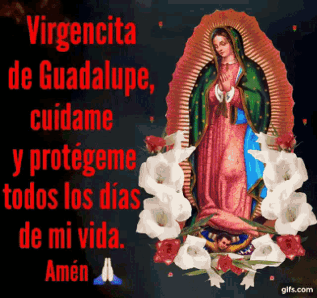 Virgencita Guadalupe GIF