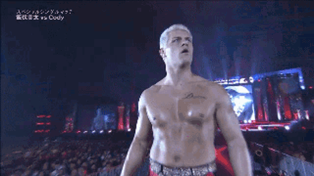 Cody Rhodes Aew GIF - Cody Rhodes Aew Wrestling GIFs