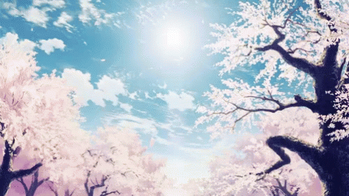 Morning Sunshie GIF - Morning Sunshie Cherry Blossom GIFs