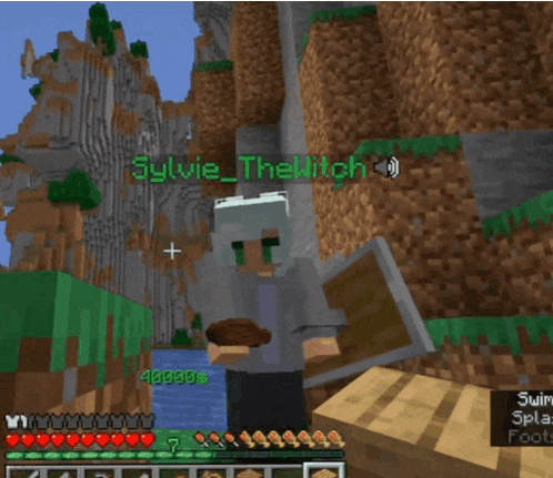 a screenshot of a video game with the name sylvie_the hitch on it