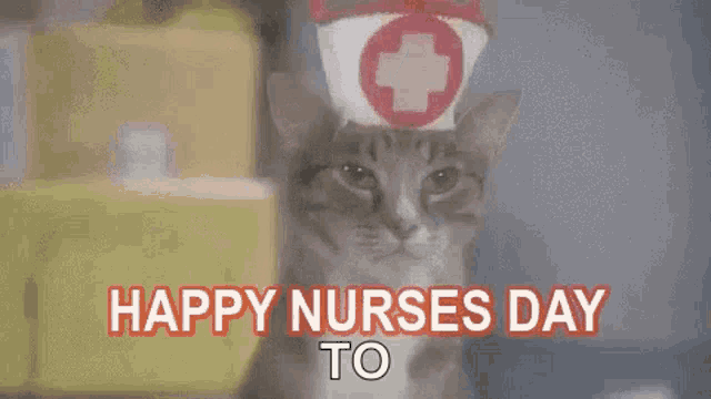 a cat is wearing a nurse 's hat and a nurse 's cap .