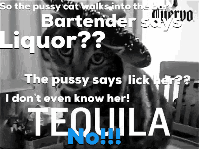 a black and white photo of a cat with a bartender saying liquor