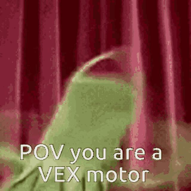 a frog is saying `` pov you are a vex motor '' .