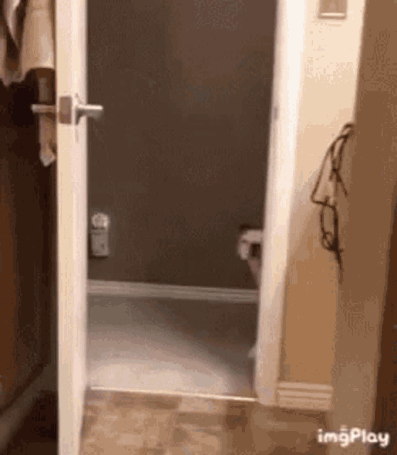 a door is open to a bathroom with a toilet