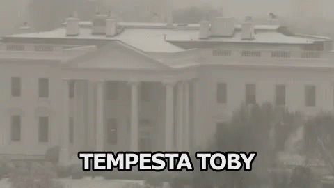 Tempesta Toby Neve Innevata Stati Uniti GIF - Toby Storm Snow Snowy GIFs