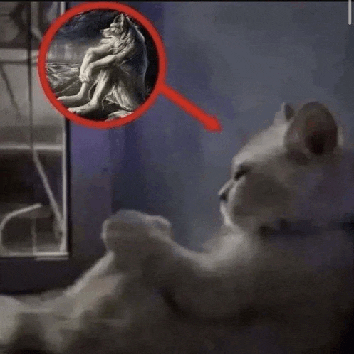 a cat is looking at a painting of a wolf in a red circle