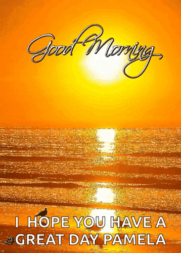 a picture of a beach with the words " good morning i hope you have a great day pamela " on it