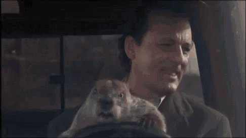 a man is driving a car with a squirrel on the back seat .