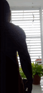 a person standing in front of a window with a plant in the foreground