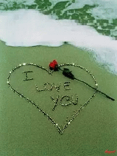 I Love You Beach GIF - I Love You Beach Wave GIFs