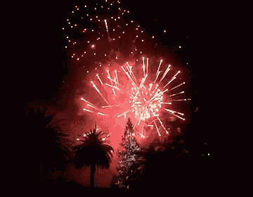 a firework display with palm trees in the background