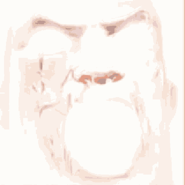 a close up of a man 's face with a white background .