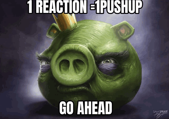 a angry pig with a crown on its head says go ahead