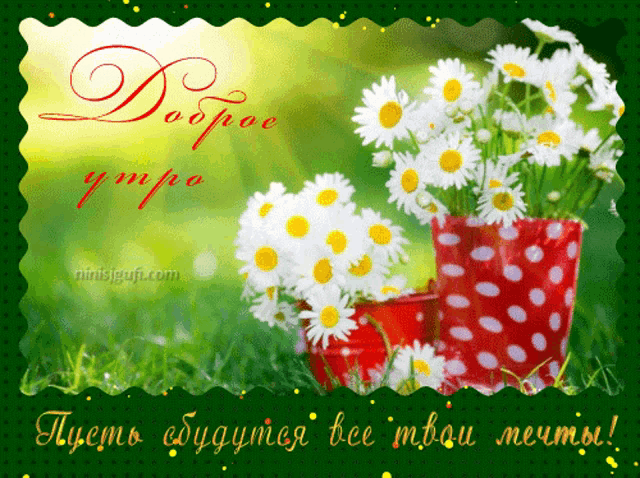 a greeting card with daisies in polka dot pots