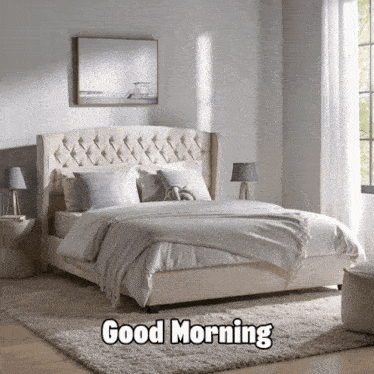 Good Morning Wake Up GIF