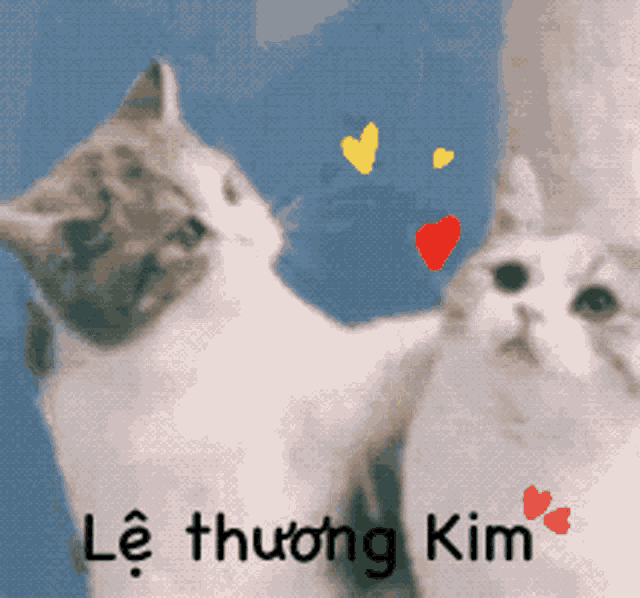 two cats are standing next to each other with the words lee thuong kim written on the bottom