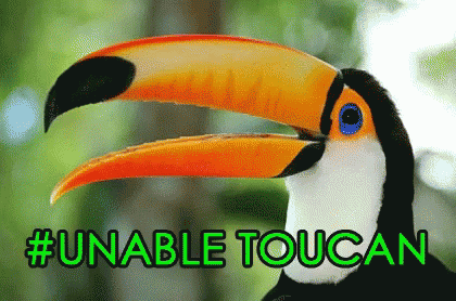 Toucan Unable Toucan GIF - Toucan Unable Toucan GIFs