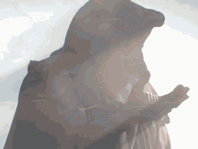 a silhouette of a person in a hooded cape
