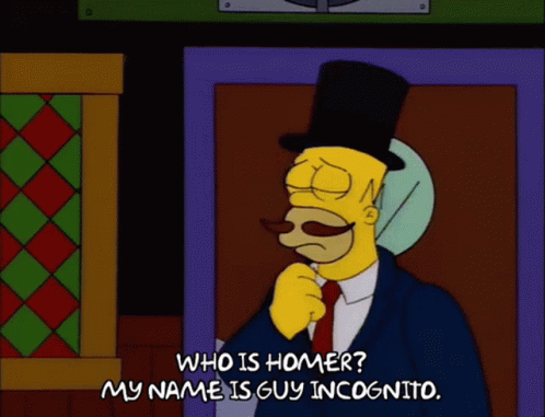 Guy Incognito Don Incognito GIF - Guy Incognito Don Incognito Homer Simpson GIFs