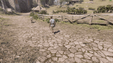 a man walking down a stone path in a game