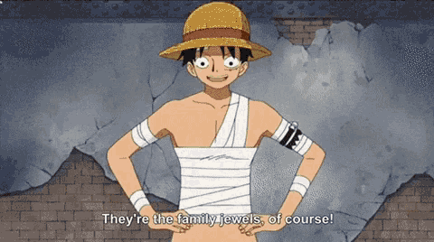 monkey d luffy from one piece is standing with his hands on his hips and says they re the family jewels of course