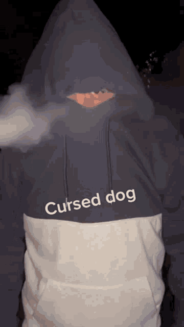 a man wearing a hoodie with cursed dog written on it
