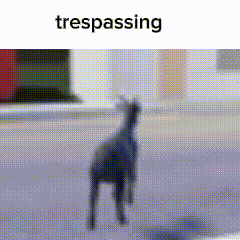 a picture of a goat walking down the street with the words trespassing above it