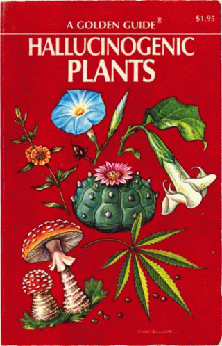Plants GIF - Plants GIFs
