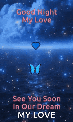 a picture of a butterfly and a heart that says good night my love see you soon in our dream my love .