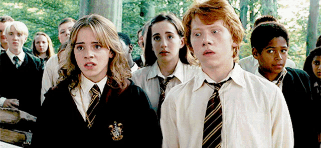 a group of people wearing school uniforms and ties are standing in a line looking at something .