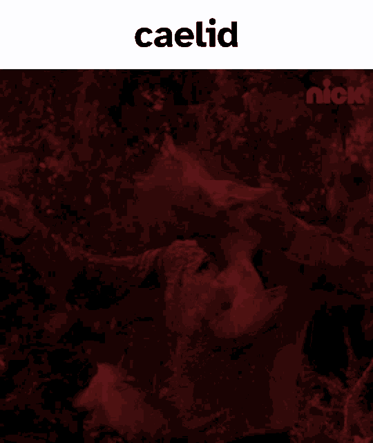 a dark red background with the word caelid on top