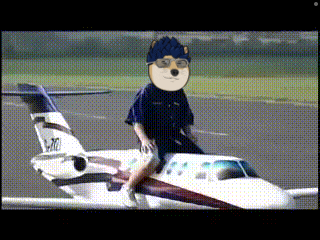 a person riding on the back of an airplane with a dog on their face
