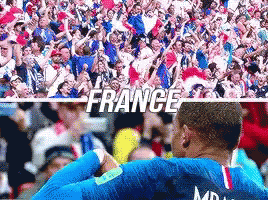 France World Cup GIF - France World Cup Quarter Finals GIFs