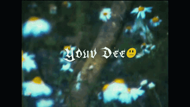 a blurred image of flowers with the words " your dee "
