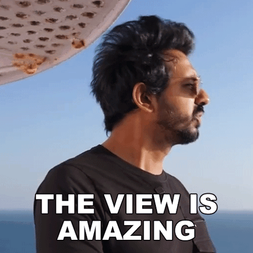 The View Is Amazing Faisal Khan GIF - The View Is Amazing Faisal Khan The Scenery Is Breathtaking GIFs