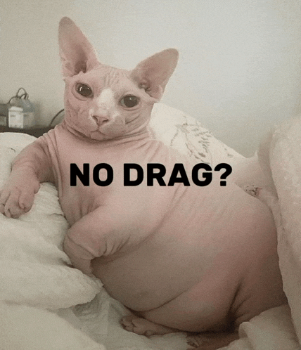 a hairless cat is laying on a bed with the words " no drag " behind it