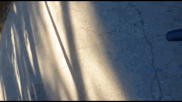 a person is walking down a street with a shadow of a tree on the ground .