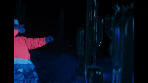 a man in a cowboy hat is standing in front of a cactus in the dark
