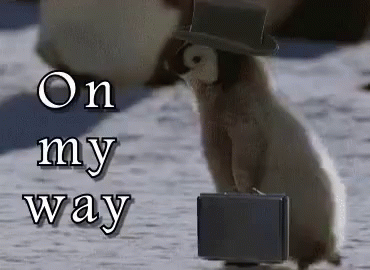 Penguin On My Way GIF - Penguin On My Way GIFs