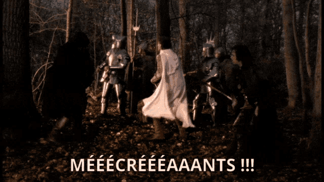 a group of knights are in the woods and the caption says meeecreeaaants !!!