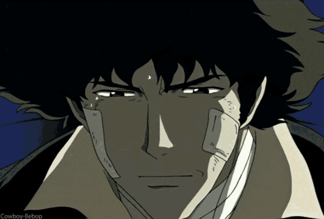 a close up of a cowboy bebop character